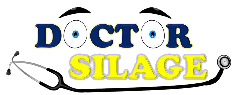 Logo Doctor Silage de 2013
